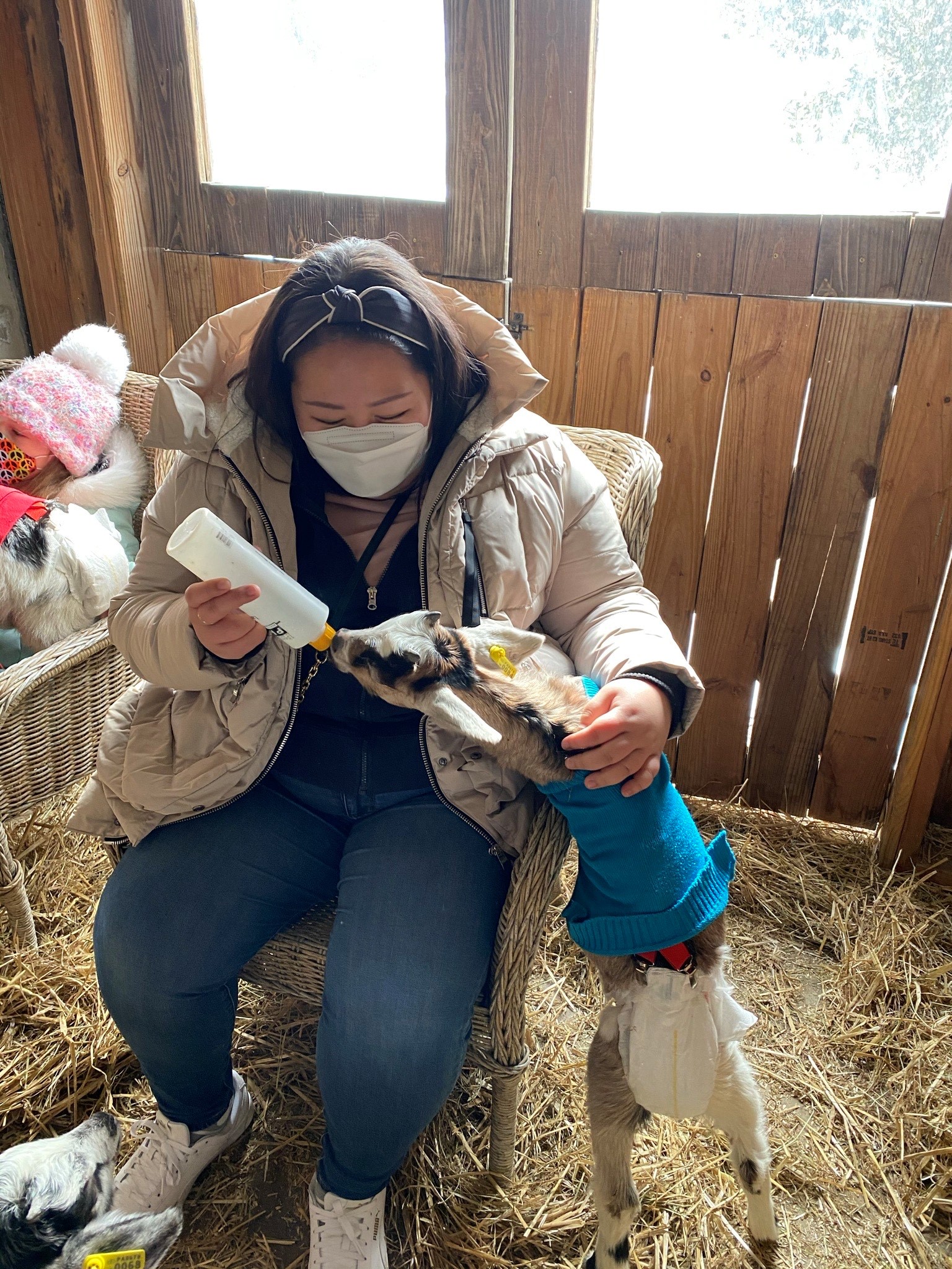 Jeonga Hong, a newly hired math teacher at Annandale High School, feeds a baby goat.